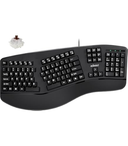 Amazon.com: Microsoft Natural Keyboard Pro : Electronics